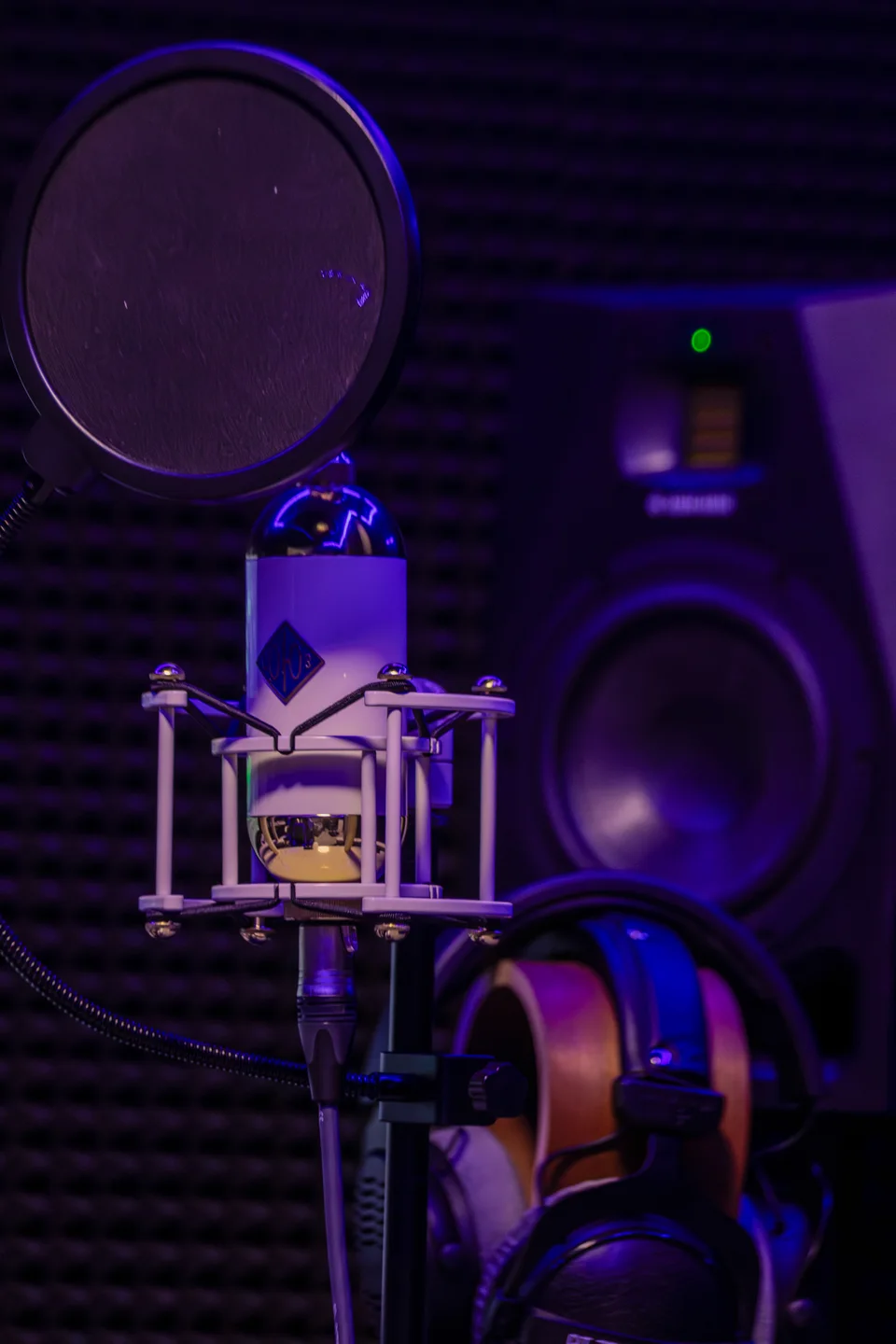 Микрофон в акустически подготовленной зоне студии Sound Wave